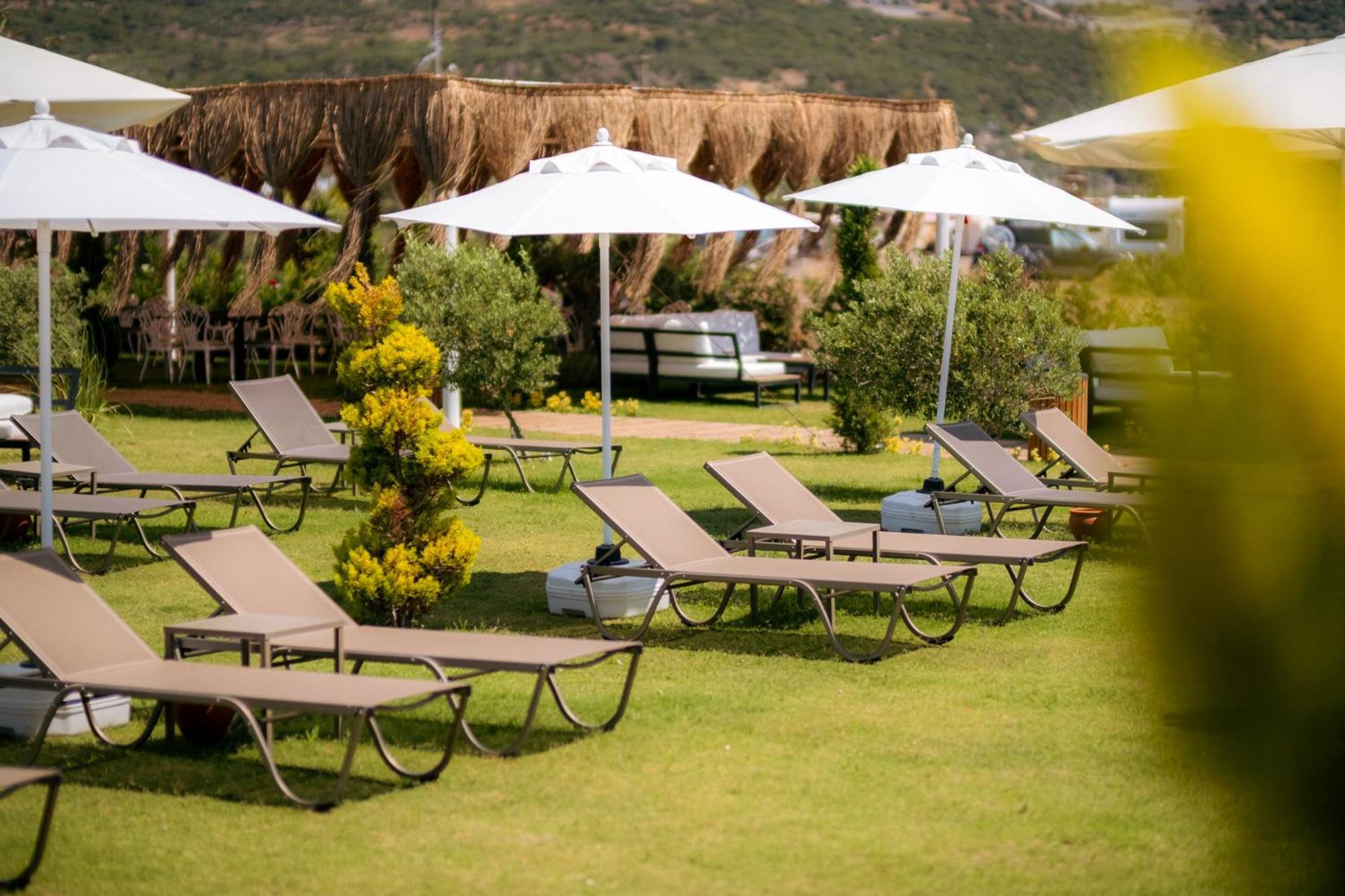 Assos Troy Beach Hotel מראה חיצוני תמונה